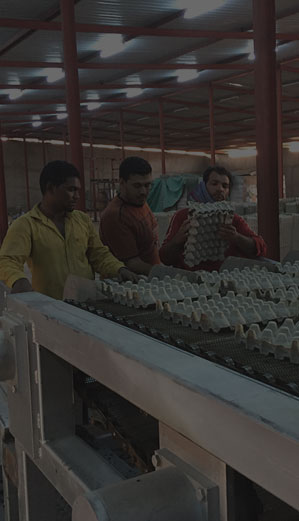 蛋托機(jī),蛋盒機(jī),果托機(jī),紙漿模塑包裝機(jī)械,育苗托/育苗缽